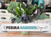 PERMA GREENS - Brassica Buffet